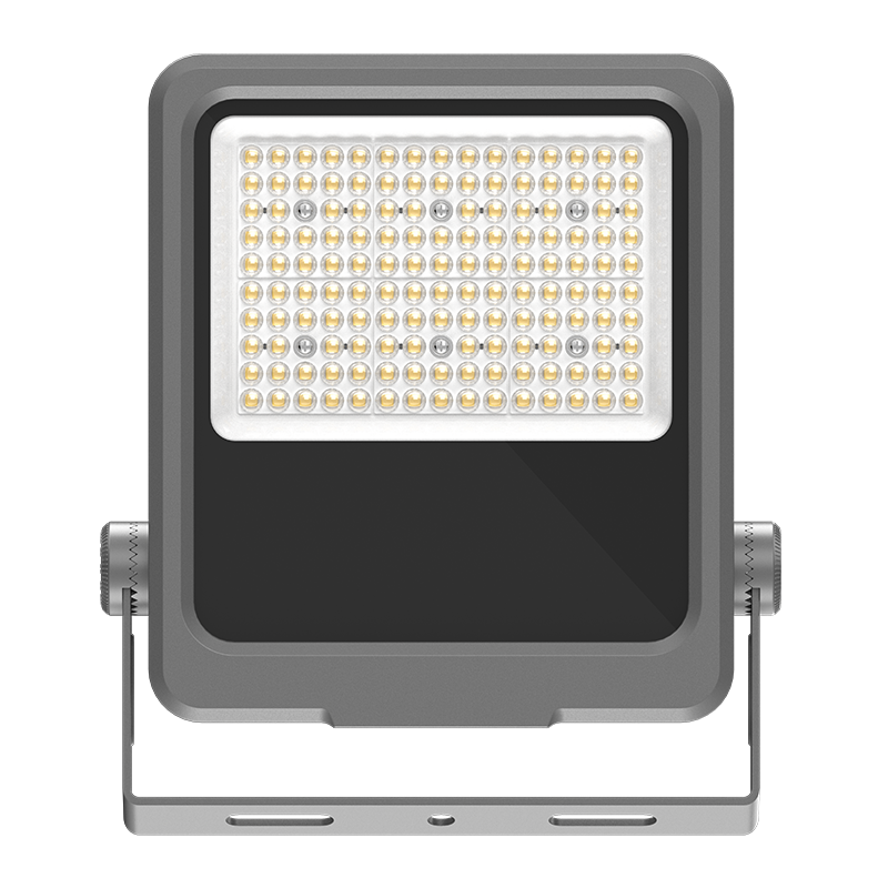 PY-FL02-100W niskoenergetski LED reflektor