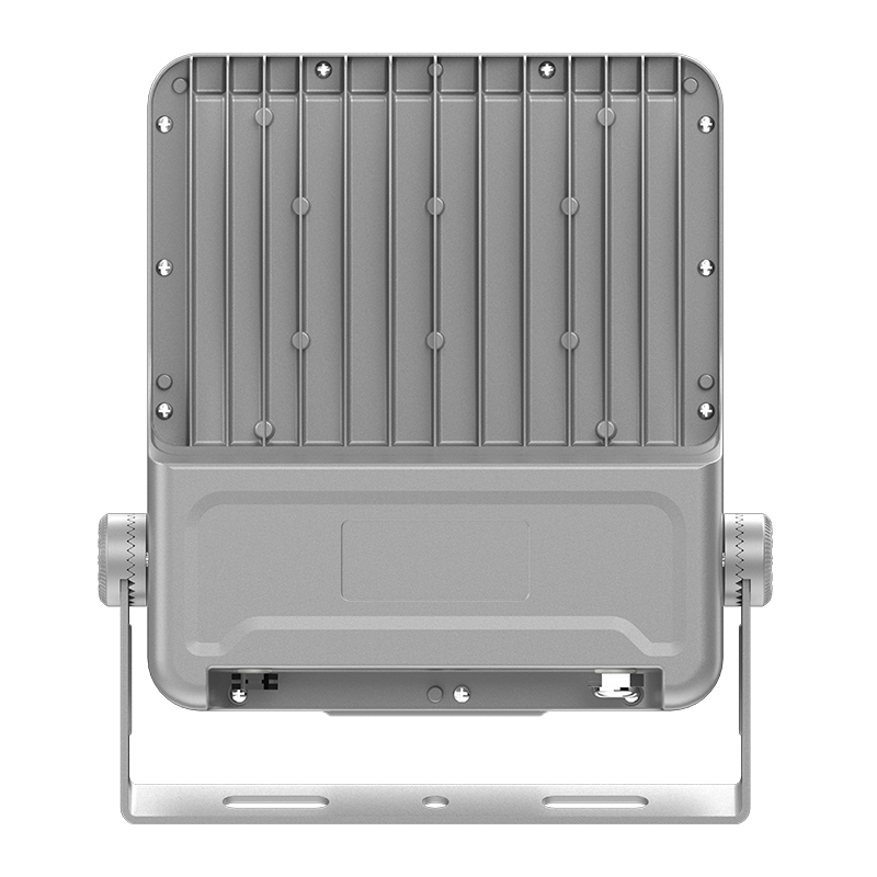 PY-FL02-100W niskoenergetski LED reflektor